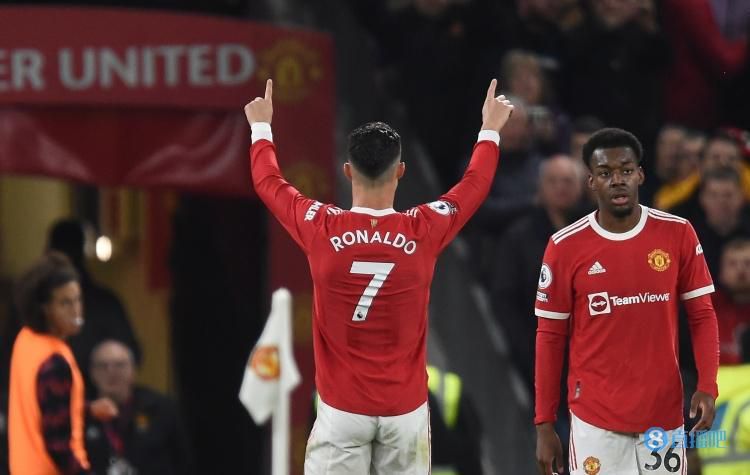 体育男同