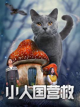 8x8x海外华人