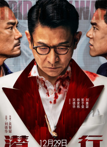 国产精品无av码在线观看