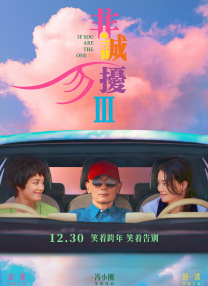 东北少妇不戴套直接进入