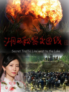 久久久久久国产精品免费