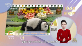 男生艹女生